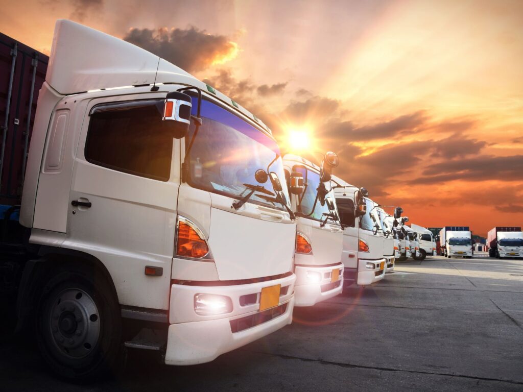 TRANSPORTE DE CARGAS